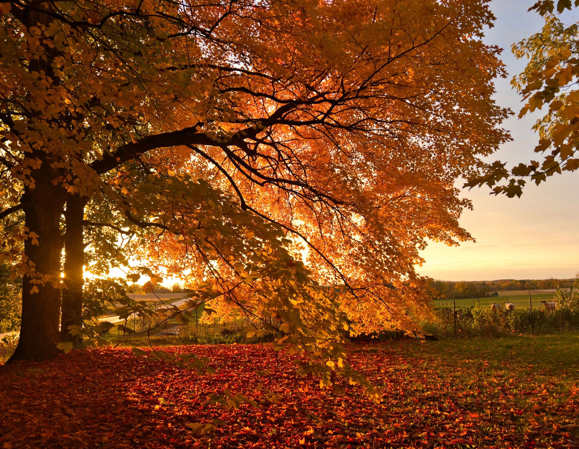 October
